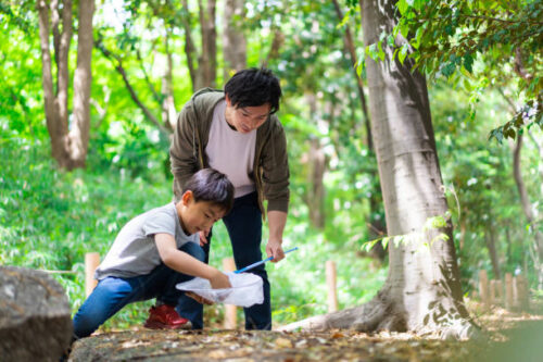 男の子とお父さんが山で虫取り